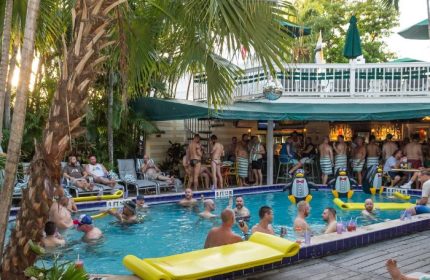 Island House Key West gay cruising: Pool scene with men swimming, sunbathing, and socializing at the bar. Palm trees and tropical vibes.