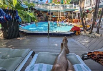 Island House Key West pool view from a lounger. Gay cruising resort with a bar, palm trees, and tropical atmosphere. Relaxing vacation.