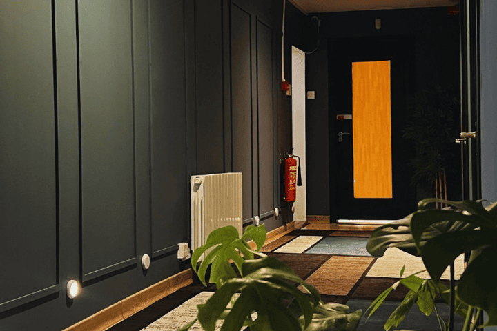 Dublin spa interior. Gay massage travel advice. Dark paneled wall, radiator, fire extinguisher, patterned rug, and plants.