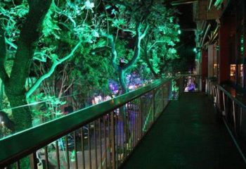 Kinky Bar in Mexico: Outdoor walkway with green-lit trees. Gay travel destination with unique nightlife and drinks. Mexico gay bar scene.