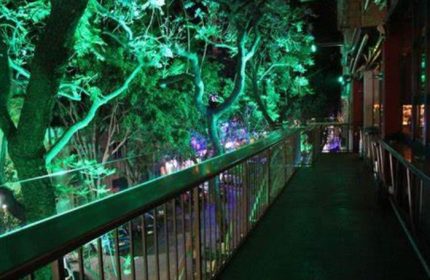 Kinky Bar in Mexico: Outdoor walkway with green-lit trees. Gay travel destination with unique nightlife and drinks. Mexico gay bar scene.