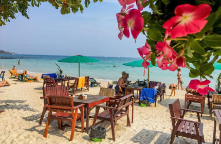 Koh Samet Tubtim Resort: Beachfront dining at this number one gay hotel. Tables on the sand, ocean view, and tropical flowers.