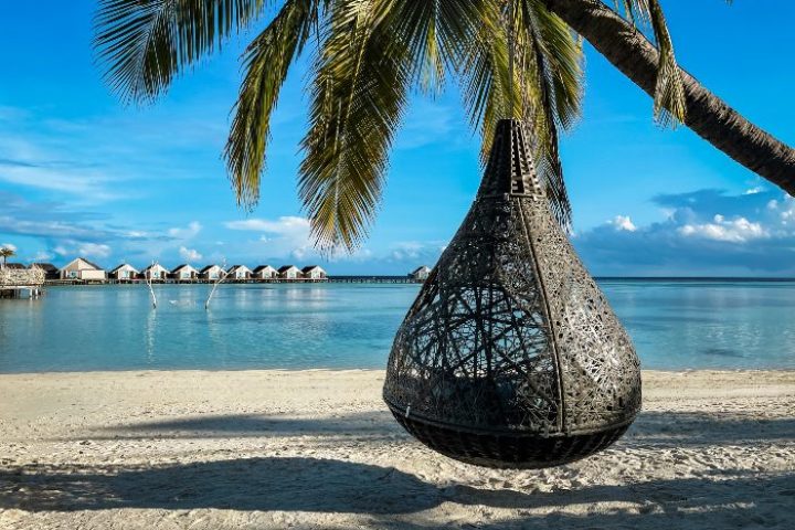 LUX* South Ari Atoll, Maldives: Beach view with hanging chair under palm tree. Luxury resort overwater bungalows. Gay travel destination.