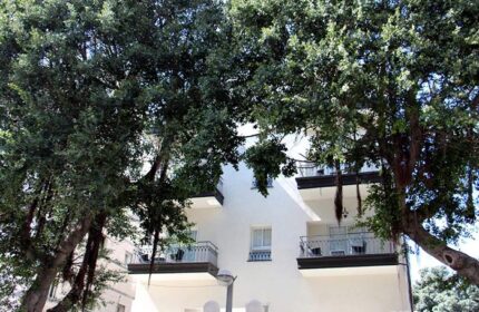 Dizengoff Avenue Boutique Hotel facade. Most booked gay hotel in Tel Aviv, Israel. Balconies are visible, framed by lush trees.