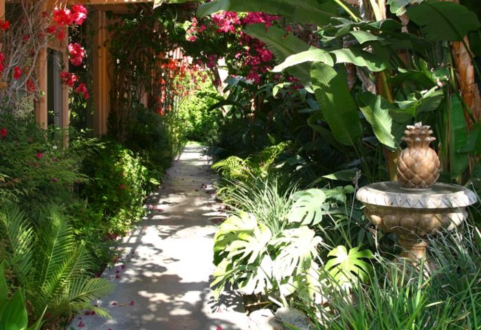 Lush garden path at Triangle Inn, a charming gay men's hotel in Palm Springs. Tropical plants and flowers line the walkway. Pineapple fountain.