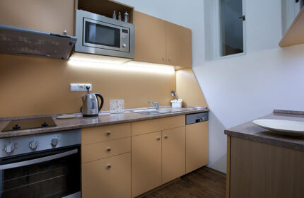 Anyday Apartments kitchen. Budget gay hotel in Prague with kitchen. Features microwave, oven, and sink. Perfect for gay travelers.