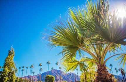Most Popular Gay Men Only Resort Palm Springs El Mirasol Villas