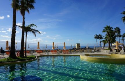 NEXT Hotel Madeira beachfront pool view. Trendy gay hotel in Portugal with palm trees, lounge chairs, and ocean views.