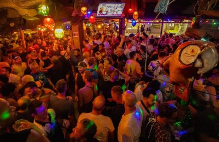 Crowded Mr. Flamingo gay bar in Puerto Vallarta. Many men are standing, with colorful lights and a parrot statue visible.