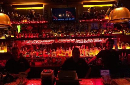 Nicho Bears Bar gay party in Mexico. Bartenders serve drinks at a bar lined with bottles and teddy bears under red lighting.