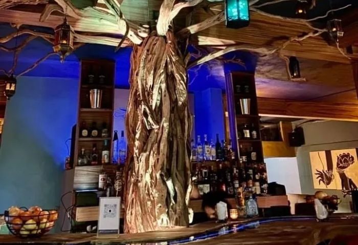 One Six One PV, a gay bar in Puerto Vallarta, features a tree sculpture, bottles, bar, and lighting. Gay travel advice.