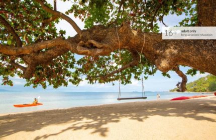 Koh Phangan adults-only beachfront hotel. Kayaker, swing, and beach at Explorar Hotel. Perfect gay resort for relaxation.