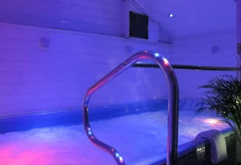 Sailors Sauna gay sauna: Interior view of a hot tub area with blue and pink lighting, a metal handrail, and potted plants, for gay men's travel.