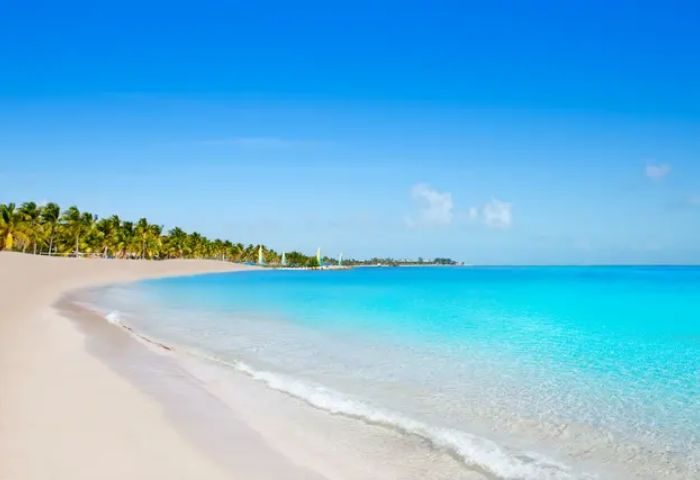 Smathers Beach in Key West: Turquoise water meets white sand, lined with palm trees. Popular spot for gay cruises and LGBTQ+ travel.
