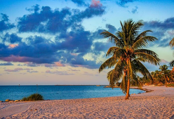 Smathers Beach in Key West. Palm tree on the sand, blue ocean and cloudy sky. Gay cruise travel destination.