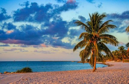 Smathers Beach in Key West. Palm tree on the sand, blue ocean and cloudy sky. Gay cruise travel destination.