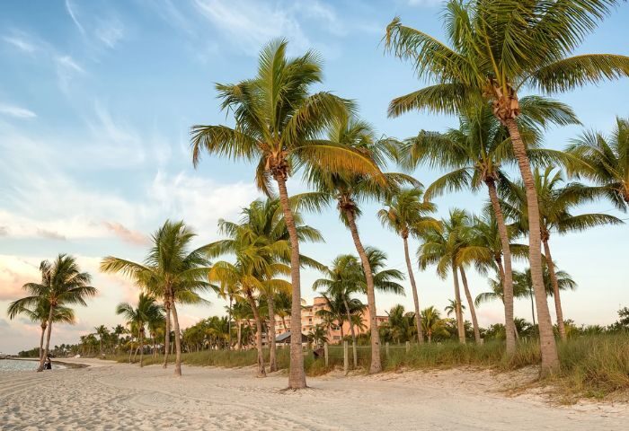 Smathers Beach in Key West. Palm trees line the sandy beach under a blue sky. Gay cruise destination for travel advice.