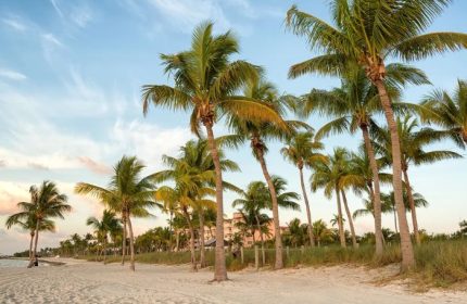Smathers Beach in Key West. Palm trees line the sandy beach under a blue sky. Gay cruise destination for travel advice.