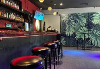 Interior of Waikiki gay bar in Honolulu. Bar stools line the counter with liquor bottles on shelves. Palm leaf wallpaper backdrop.
