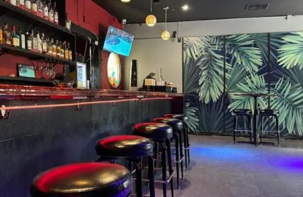 Interior of Waikiki gay bar in Honolulu. Bar stools line the counter with liquor bottles on shelves. Palm leaf wallpaper backdrop.