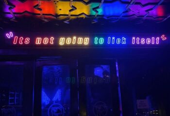 The Back Door Bar, Cancun. Neon sign: Its not going to lick itself. Gay bar with rainbow colors. Gay men travel advice Cancun.