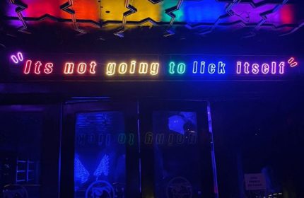 The Back Door Bar, Cancun. Neon sign: Its not going to lick itself. Gay bar with rainbow colors. Gay men travel advice Cancun.