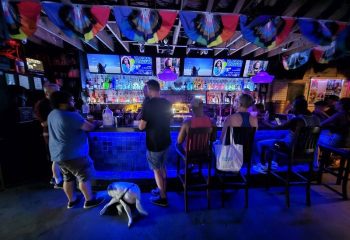 The Bullet Bar view. Gay bar patrons at a blue-lit bar with rainbow flags. Screens display drag queens. A dog is lying on the floor.