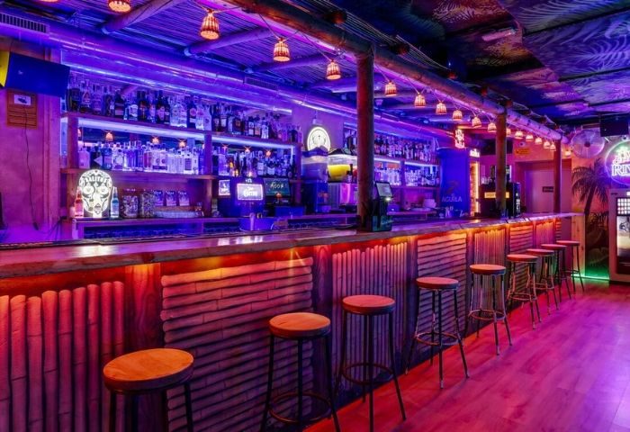Interior of The Moon Tropical Gay Club in Madrid. Bar with stools, bamboo decor, purple lighting, shelves of liquor bottles.