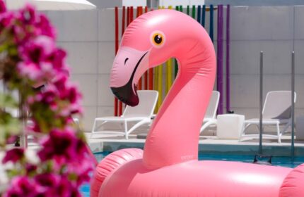Pink flamingo pool float at The Purple Hotel, Ibiza. Gay adults-only resort with rainbow decor for LGBTQ+ travelers.