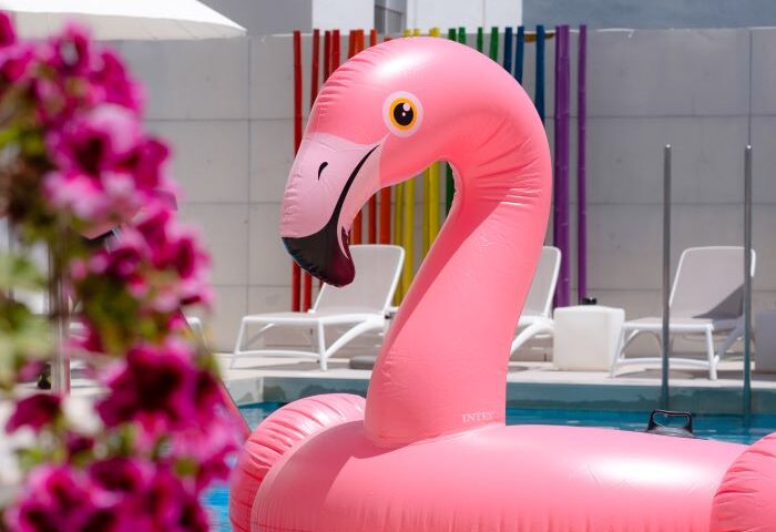 Pink flamingo pool float at The Purple Hotel, Ibiza. Gay adults-only resort with rainbow decor for LGBTQ+ travelers.