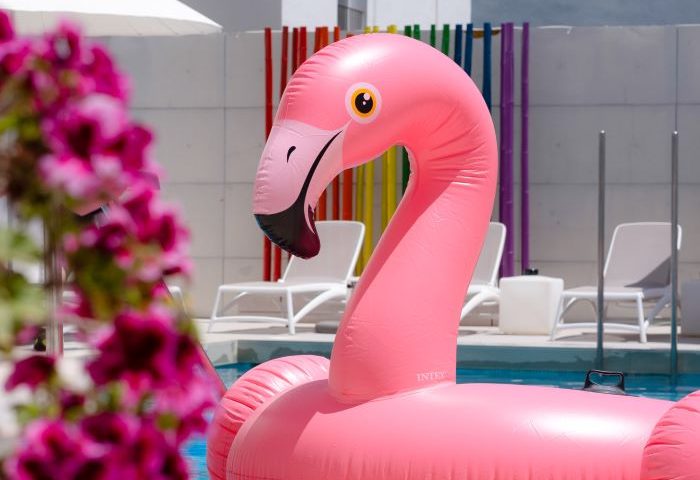 Pink flamingo pool float at The Purple Hotel, Ibiza. Gay adults-only resort with rainbow decor for LGBTQ+ travelers.