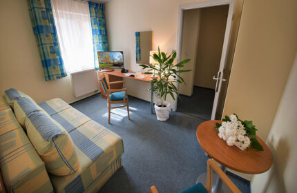 EA Hotel Tosca room in Prague's Vinohrady gayborhood. Features a sofa, desk, TV, plant, and flowers. Gay hotels update.