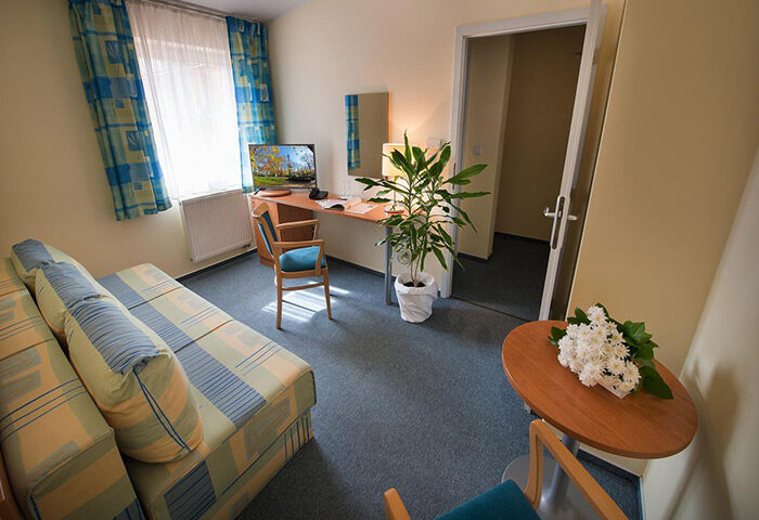 EA Hotel Tosca room in Prague's Vinohrady gayborhood. Features a sofa, desk, TV, plant, and flowers. Gay hotels update.