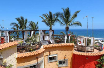 Pasion Tropical, gay only resort in Playa del Ingles, Gran Canaria. Adults-only hotel rooftop with ocean view, palm trees, and cabanas.