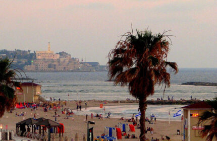 Tel Aviv beach near Shalom Hotel, an Atlas Boutique Hotel. Gayborhood area with Hilton Beach view. Palm trees, people, and Old Jaffa in background.