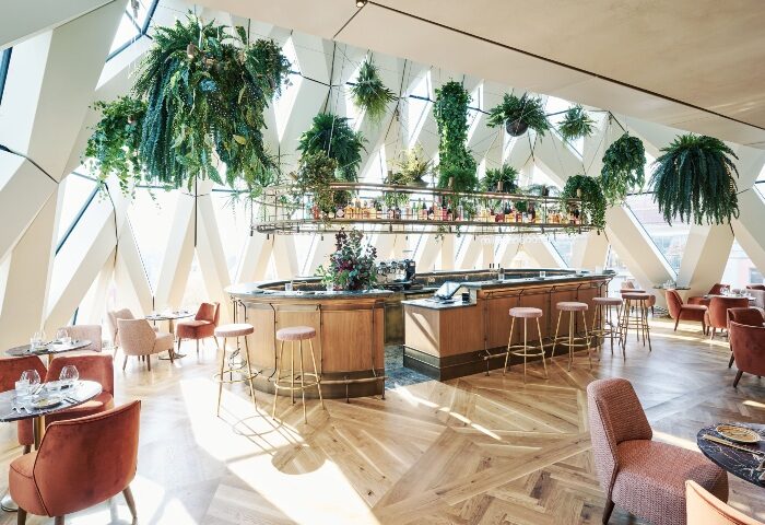 Motto Hotel, Vienna: Stylish bar area in this top gay hangout hotspot. Plants hang above the bar. A great city center hotel for gay men.