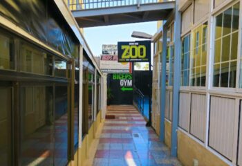 Zoo Men's Cruising Bar in Gran Canaria. Entrance to gay cruise club with Biceps Gym sign. Gay travel destination, popular gay bar.