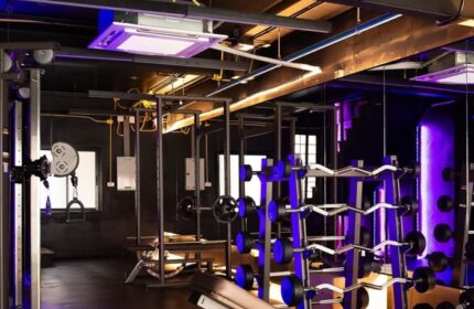 Krubb Bangkok gym. Weight rack with barbells, weight lifting machines. Fitness center with blue lighting. Gay-friendly workout space.